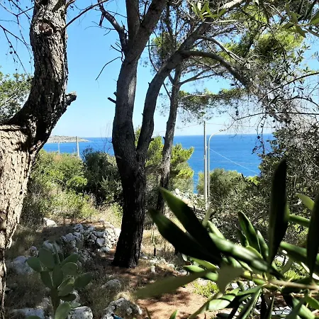 Pagghiara Marittima